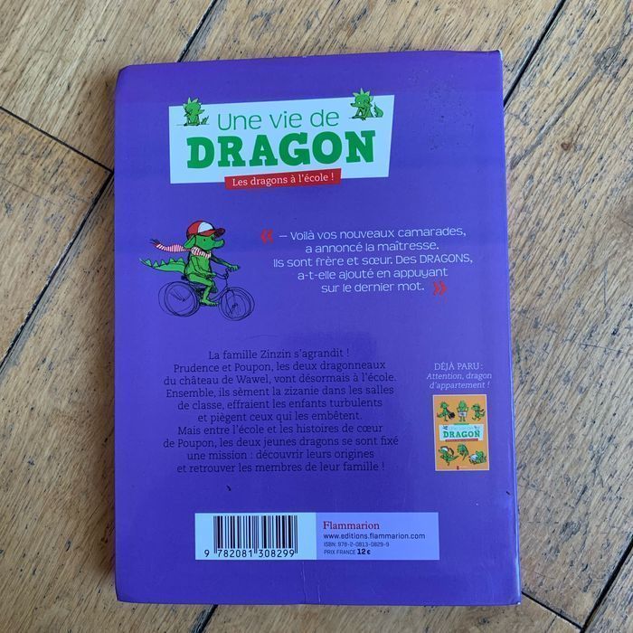 Livre une vie de dragon  Les dragons à l’école - photo numéro 2