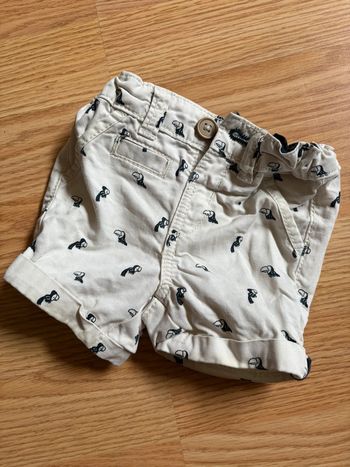 Short perroquet