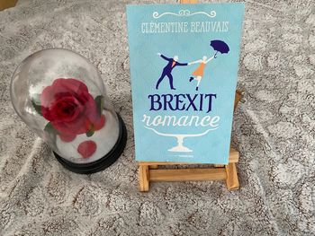 Livre Brexit romance de Clémentine Beauvais