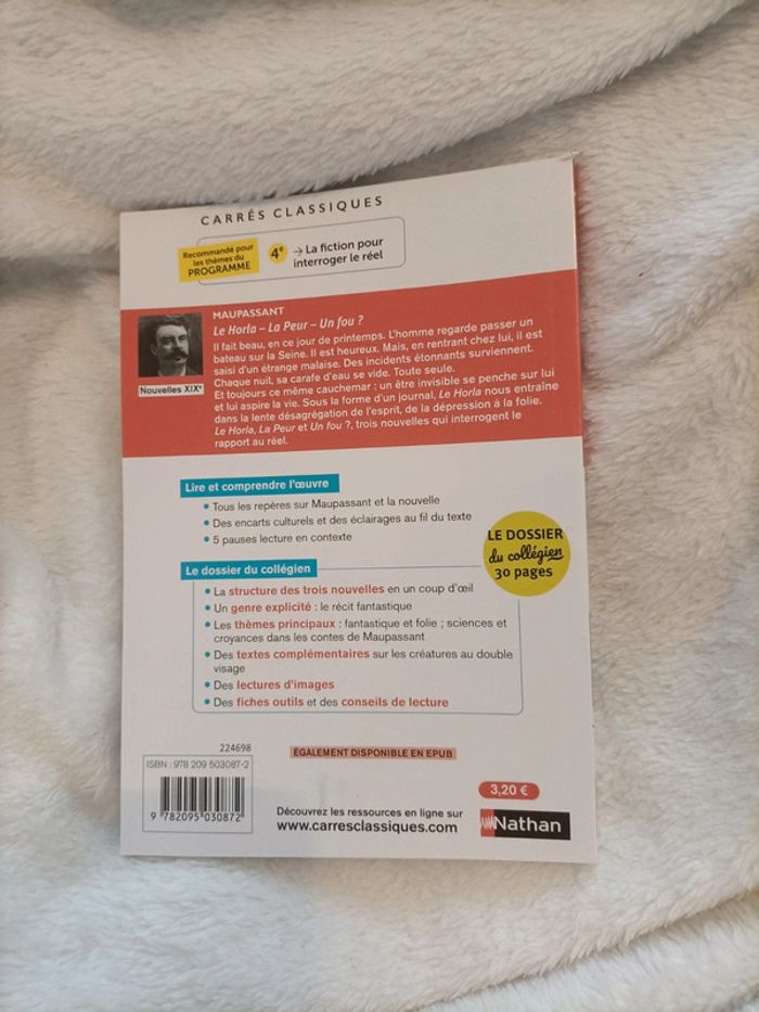 Le Horla – Guy de Maupassant - photo numéro 2