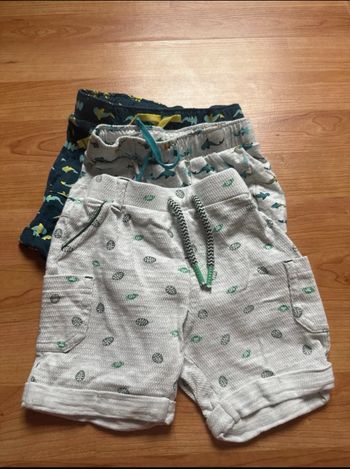 Lot 3 short