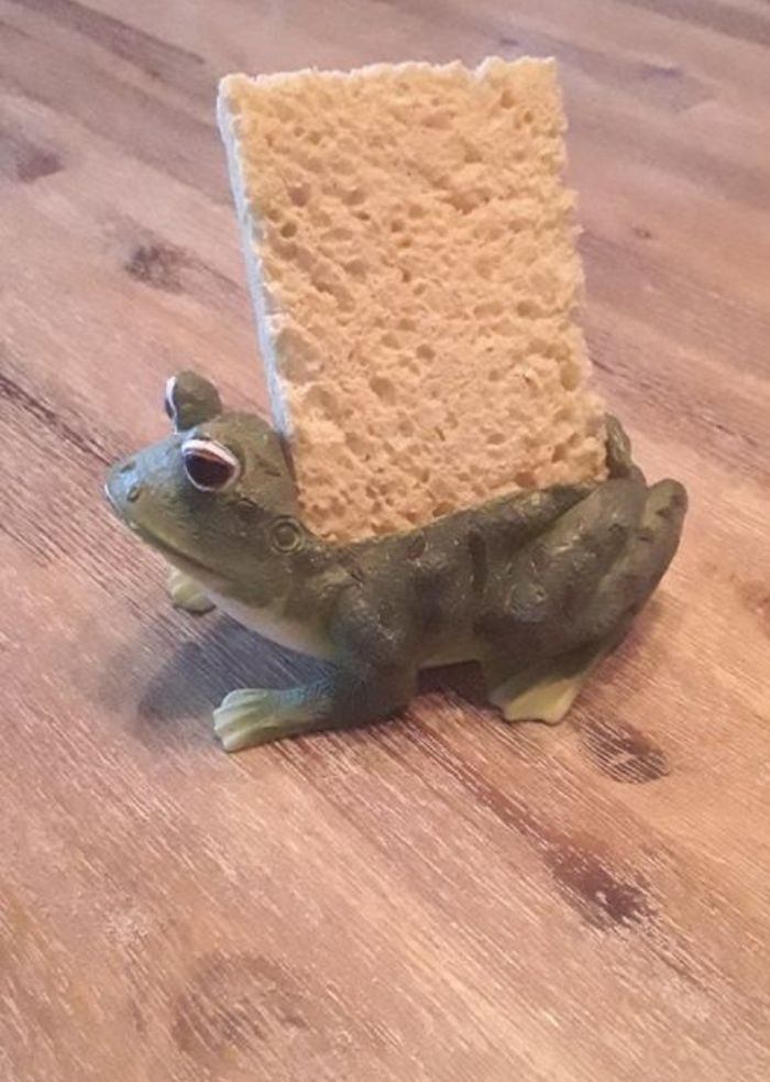 Grenouille porte éponge - photo numéro 2