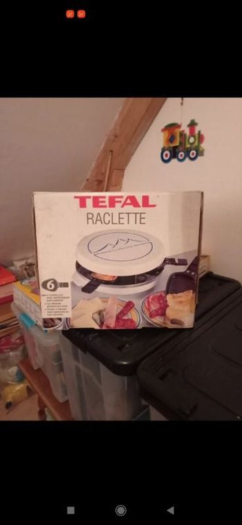 Service raclette