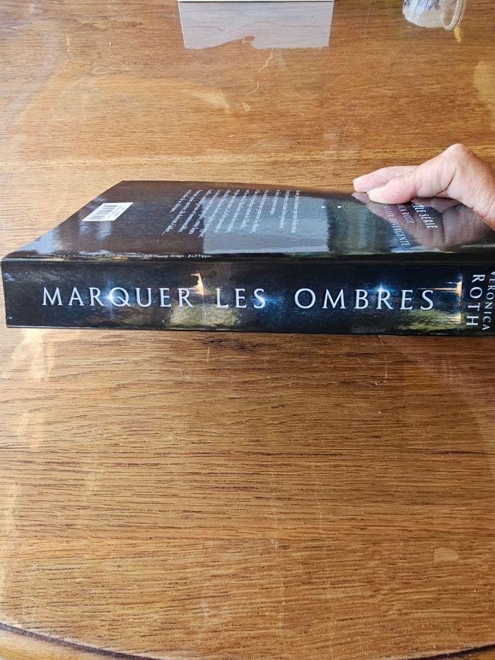 Les ombres de Veronica Roth - photo numéro 3