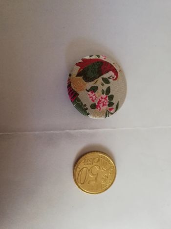 Ravissante broche broderie paon et fleurs