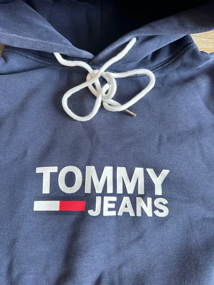 Sweet capuche tommy jeans - photo numéro 2