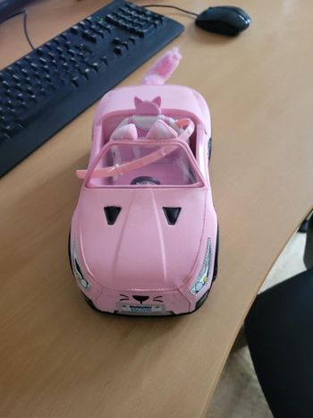 VOITURE NA NA NA SURPRISE