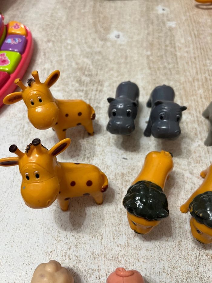 Animaux divers - photo numéro 5