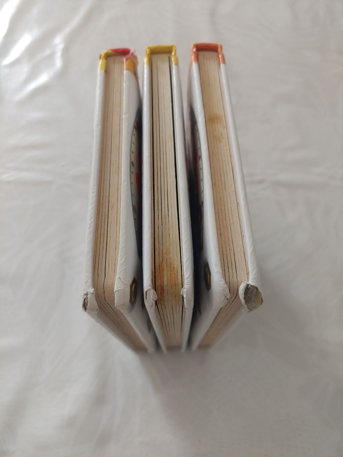 Lot 3 livres P'tit garcon - photo numéro 6
