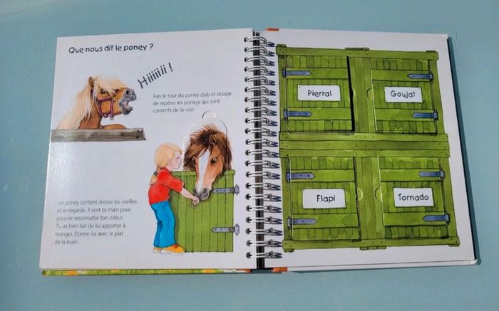 Livre animé à volets Les P'tits Juniors : 🐴 Les Poneys 🧲 35 - photo numéro 9