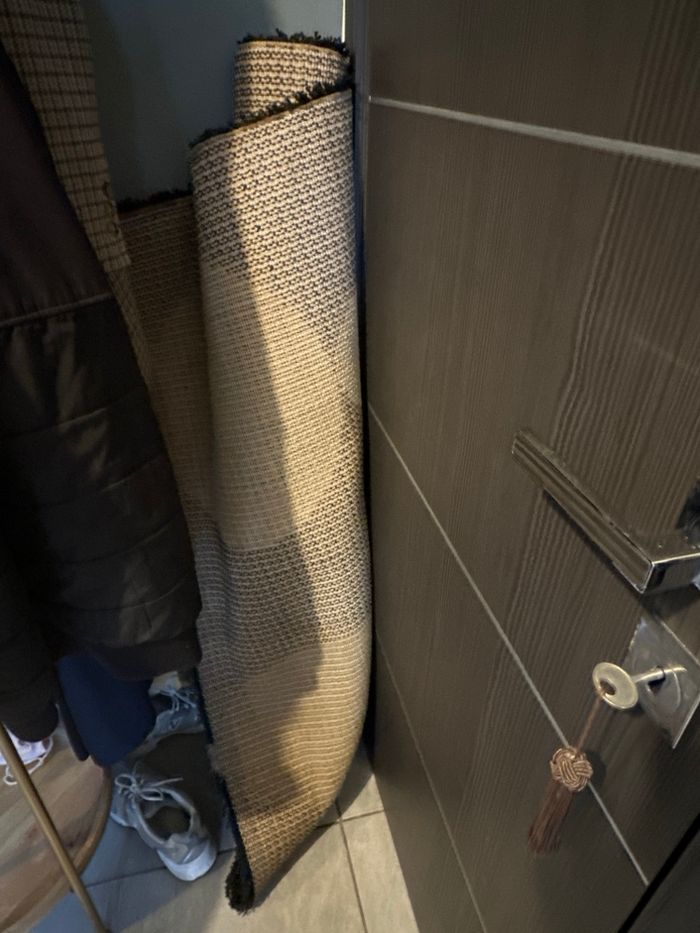 Tapis conforama - photo numéro 2