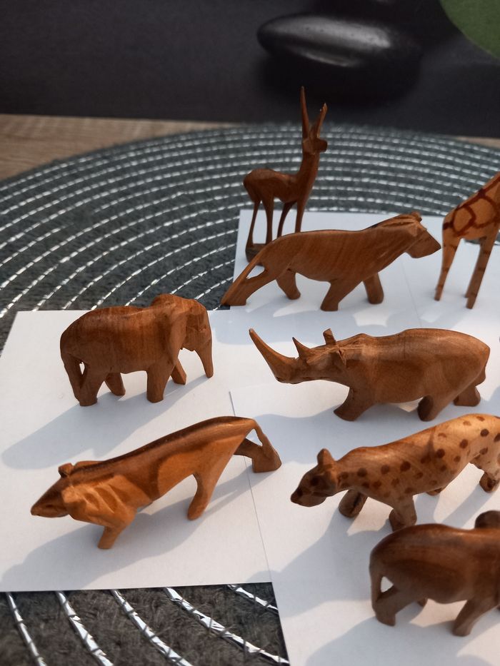 Animaux de la savane   les 10 animaux
2cm de haut sur 5  environ - photo numéro 4