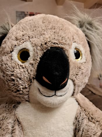 Peluche koala xxl