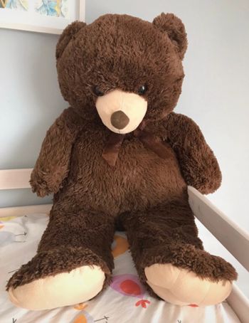 Ours en peluche 🧸