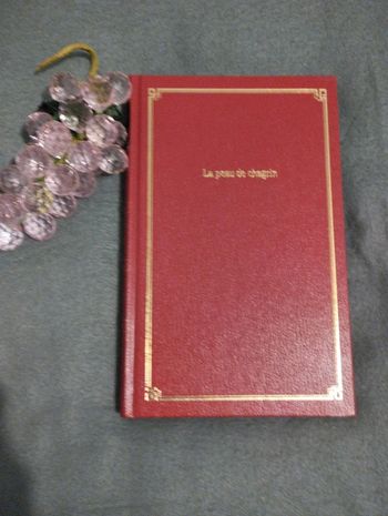 La Peau de Chagrin de Balzac