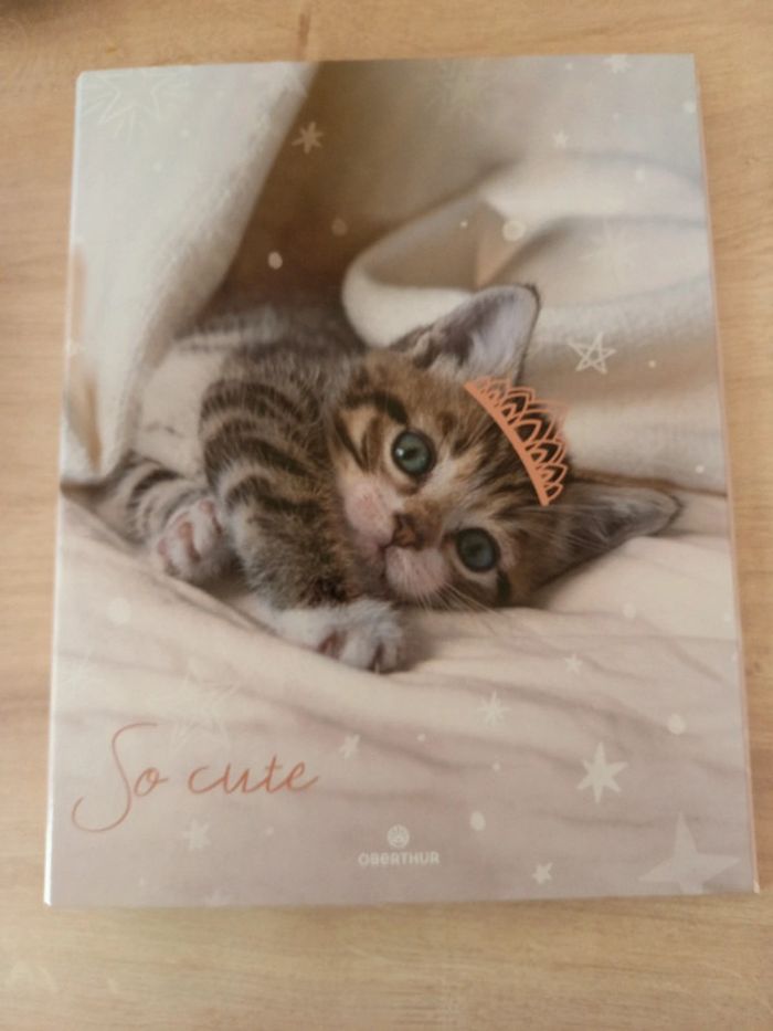 Classeur chat