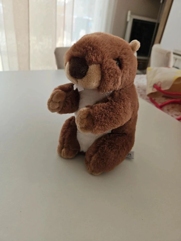 Peluche marmotte castor - photo numéro 2