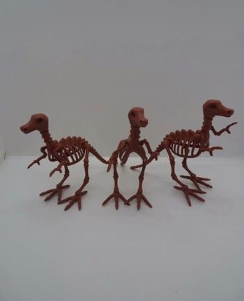 3 squelette dinosaure