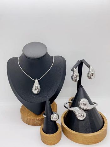 Parure bijoux botega argenté ✅