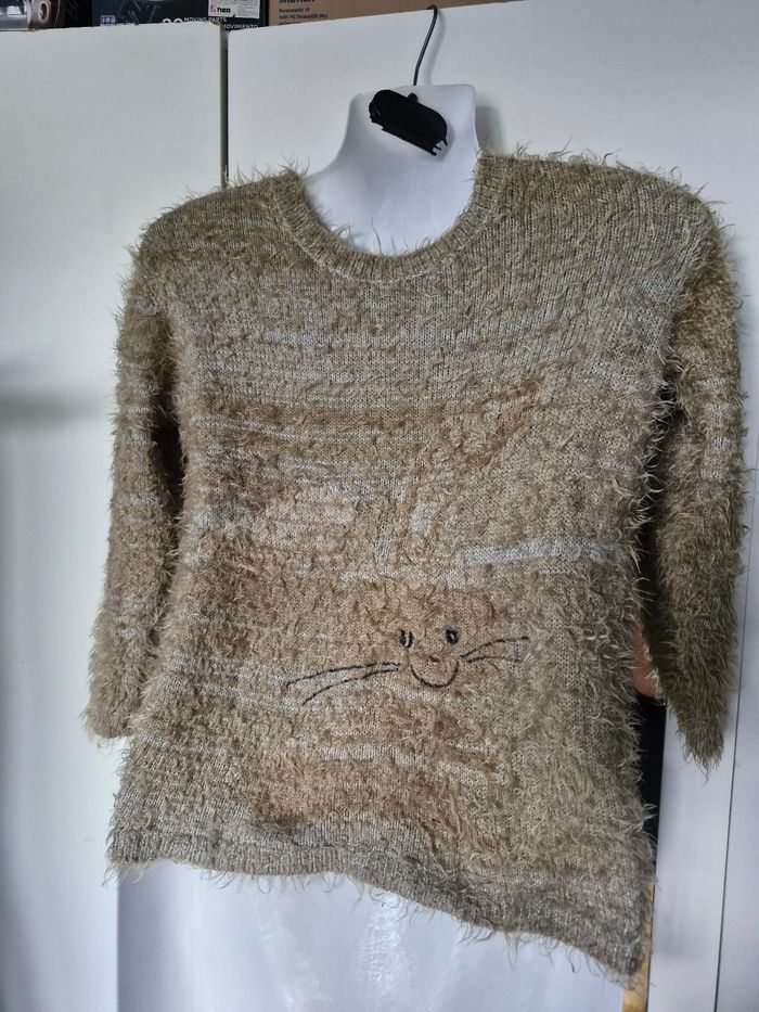 Joli pull style a poil figure chat - photo numéro 2