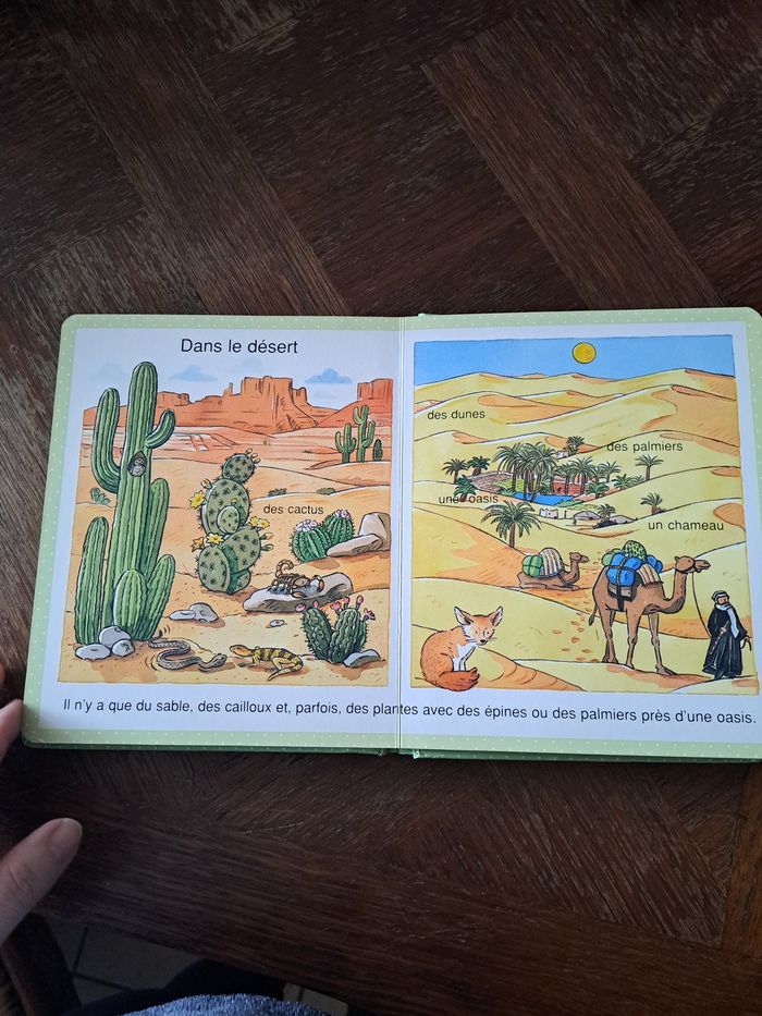 Livre - photo numéro 5