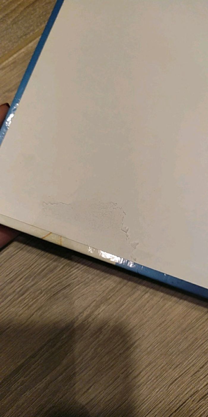 Cendrillon Walt Disney - photo numéro 4