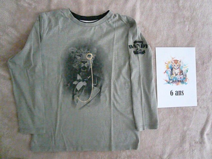 Lot de 3 tee-shirts 6 ans (n°5) - photo numéro 3