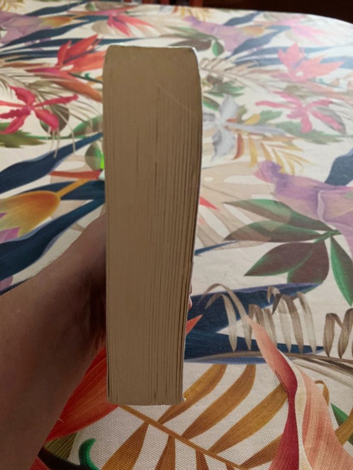 Richard Hawke “Impossible à lâcher Michael Connely “ La peau du diable - photo numéro 6