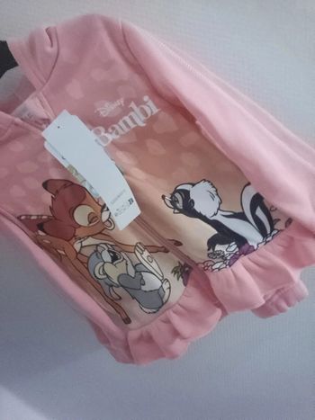Ensemble bambi