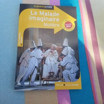 livre le malade imaginaire