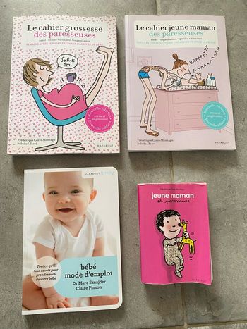 Lot de 3 livres grossesse maternité papa débutant