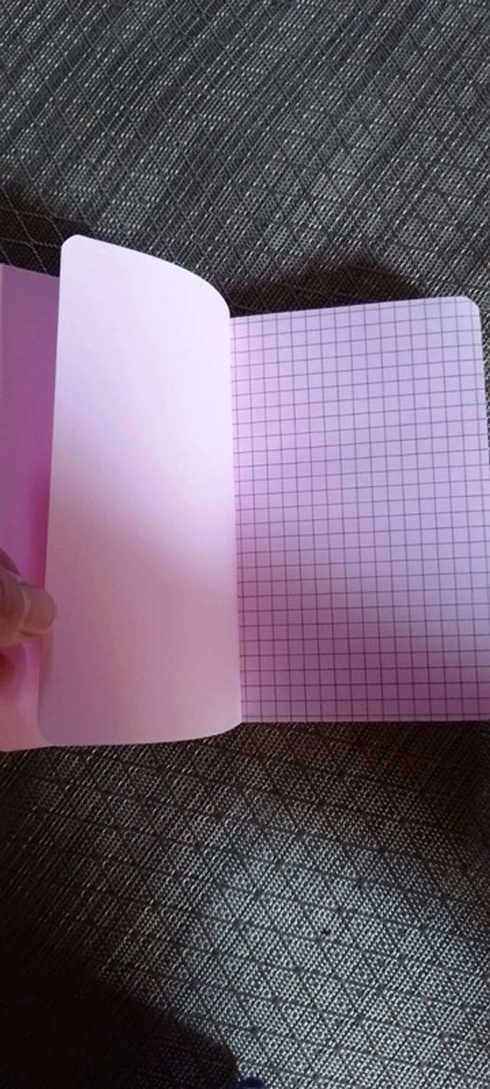 Petit carnet Le Piaf - photo numéro 2