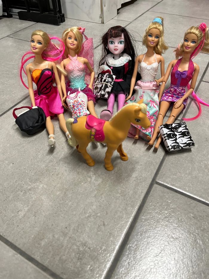 Lot barbies et accessoires