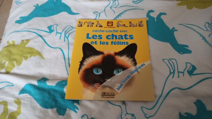 Lot 6 livres magiques - photo numéro 5