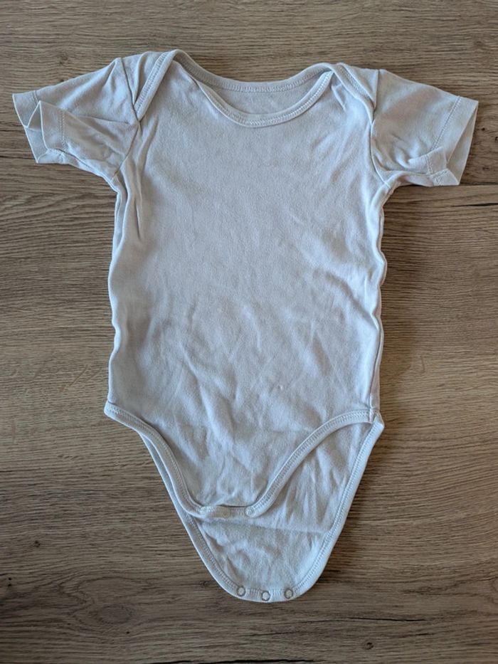 Lot de 9 bodies manches courtes Taille 18 mois - photo numéro 10