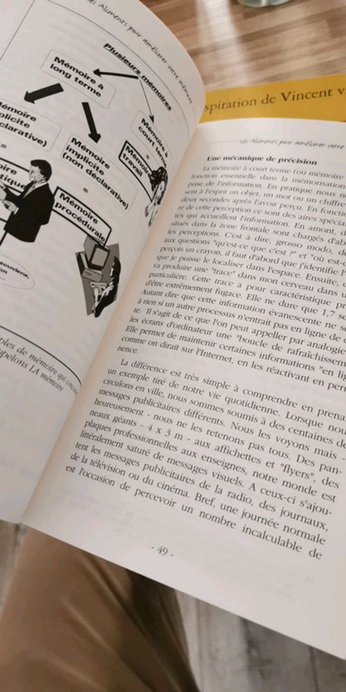 Les aliments pour améliorer votre mémoire - photo numéro 3