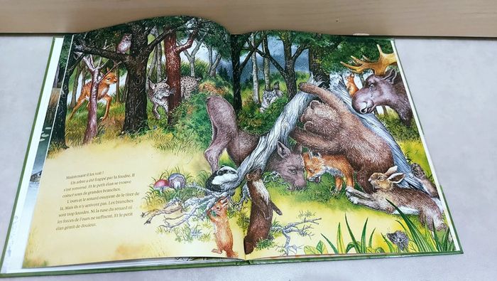 📚 Livre : Petit troll - photo numéro 4