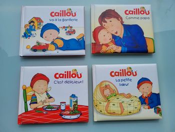 4 Caillou : La Petite soeur, c'est délicieux, comme papa et va à la garderie