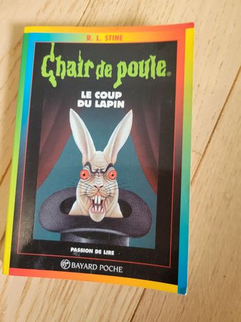 Livre chair de poule 35