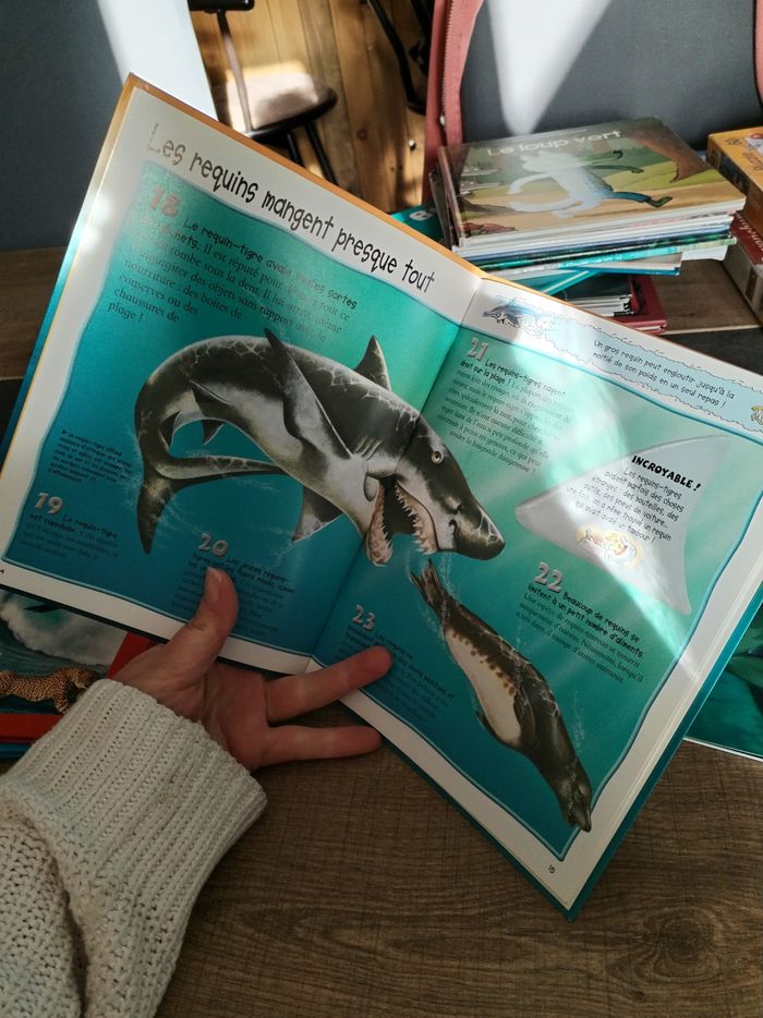 Lot livres doc requin - photo numéro 4