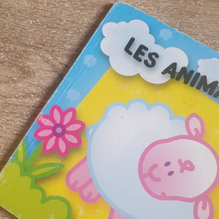 ⭐ Livre Les animaux Yoyo éditions #emyfleury_livres - photo numéro 5