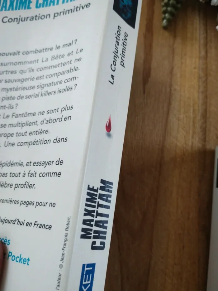 Saga "Ludivine Vancker" - Tome 1 à 3 - Maxime Chattam - photo numéro 6