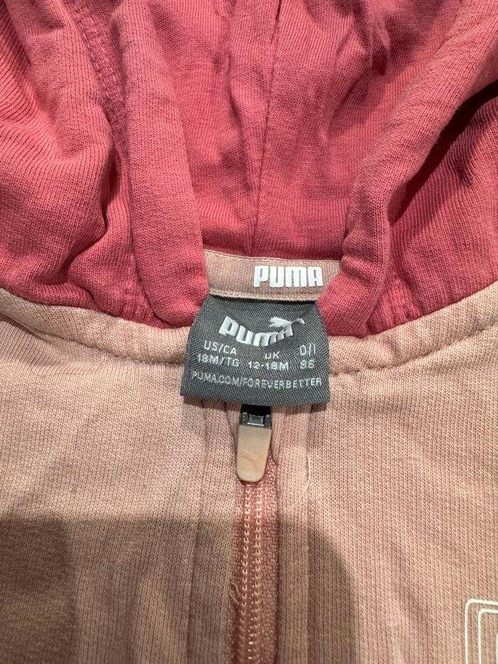 Ensemble survêtement - photo numéro 2