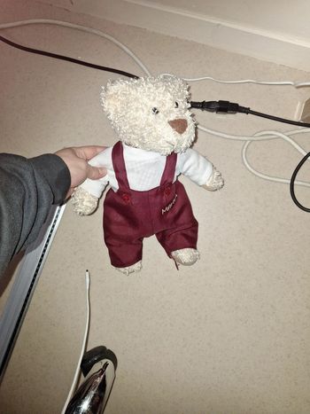 Ourson pelluche martin