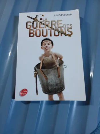 La guerre des boutons de louis pergaud