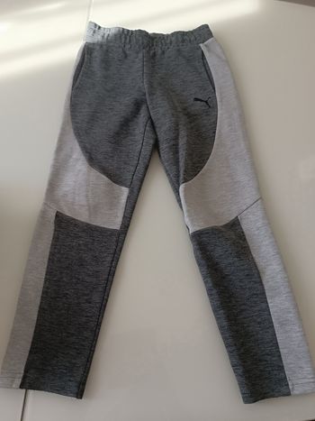Jogging Puma