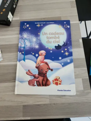 Livre Un cadeau tombé du ciel