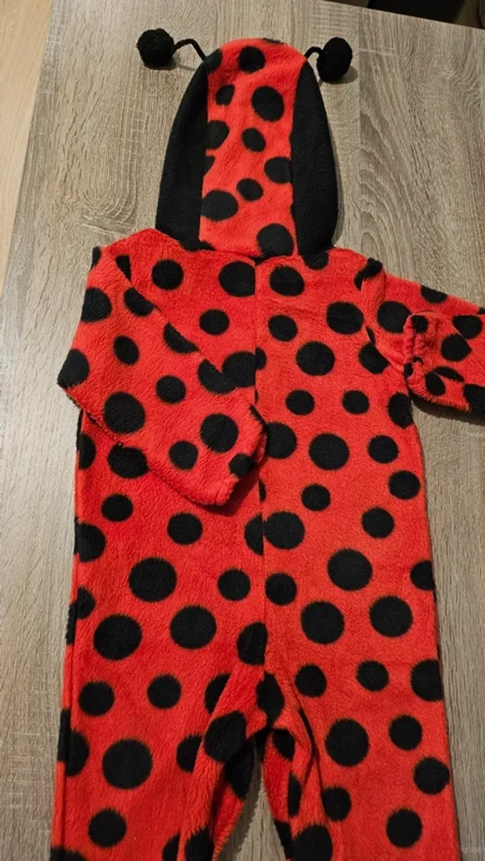 Costume coccinelle 18/24 mois - photo numéro 4