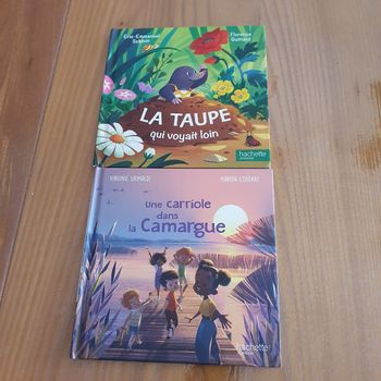 lot 2 livres Hachette