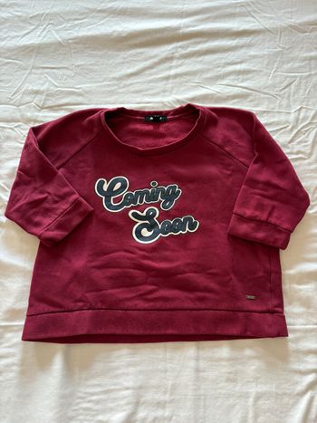 Top/Pull manche 3/4 bordeaux